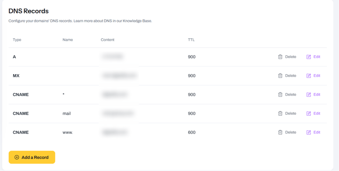 Add DNS record screenshot